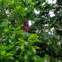 Girls on a tree